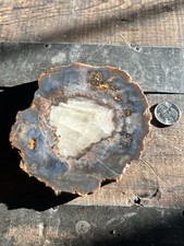 Large Striking Blue And Orange Agate Slice With Quartz Center 8.1 Oz picture