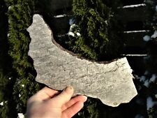  Meteorite iron, finest octahedrite TURGUT, Turkey, etched complete slice 798 g picture