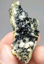 Rare Allanite-(Ce) Crystals on matrix with Melanite Garnet, Sphene & Albite - Pk picture