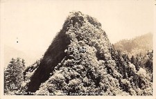 C74/ Great Smoky Mountains National Park Tennessee Tn Postcard RPPC Chimneys 4 picture
