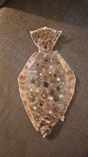 fluke flounder replica 21 inch Nantucket shoals series picture