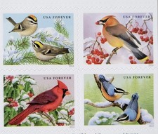 🐦  SHEET OF 20 FIRST CLASS LETTER 