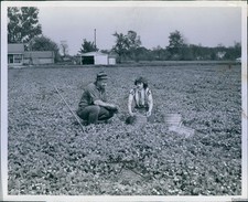 1950 Detroit News Staff Macgregor May 31 Historic Original Vintage Photo 8x10 picture