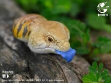 【In-Stock】Animal Heavenly Body Tiliqua Scincoides Blue-Tongued Skink Statue picture