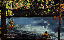 Beautiful Blue Spring Shannon County Missouri MO Ozarks 1930s Linen Postcard picture