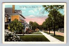 Tampa FL-Florida, Residential District, Plant Avenue, Antique Vintage Postcard picture