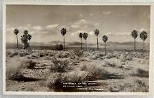 29 Palms CA Sentinals Of The Desert RPPC Real Photo Postcard Vintage Souvenir picture