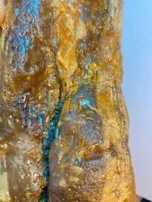 Huge 1 of A Kind Opalized Fossil Wood Nodule Super Rare 14+ Lbs Slabs 4 Days picture