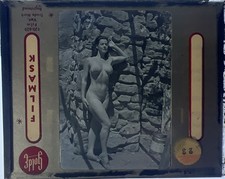 Vintage Original Black White Female Model Glass Photo Slide Photography picture