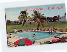 Postcard Fresh Water Swimming Pool The Lodge Flamingo Florida USA picture