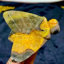 55G Natural bumble bee Jasper carved little bee Animal Crystal Mineral sample picture