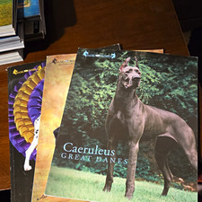 Dane World Great Dane Magazine Lot of 3 Great Danes AKC 2005,2006,2007 picture