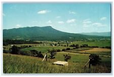 c1950s Massanutten Peak & Valley Shenandoah Valley Virginia VA Unposted Postcard picture