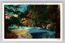 Salem VA-Virginia, Scenic Views Mason's Creek, Antique Vintage Postcard picture