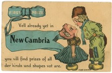 New Cambria MO Comic Dutch Children Town Booster Postcard Cobb Shinn c1910s picture