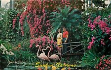 Sunken Gardens St. Petersburg Florida FL Postcard picture