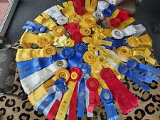 Horse Show Ribbon Rosette Equestrian Lot picture