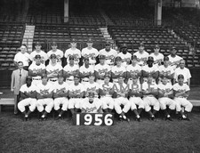 1956 BROOKLYN DODGERS Team Photo picture