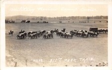 J59/ Battle Creek Michigan RPPC Postcard c1920s Camp Custer Pack Train 242 picture