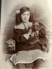 Antique Victorian Cabinet Card Photo Girl Hugging Terrier Dog Rankin Birmingham picture