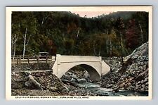 Berkshire Hills MA-Massachusetts, Cold River Bridge, Trail, Vintage Postcard picture