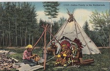  Postcard Native American Indian Family in Northwoods picture