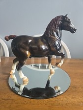 Buddy BEAUTIFUL QVC dark liver chestnut glossy Belgium 1998 limited picture