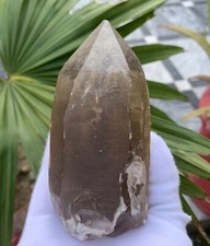 450 Grams Natural Tri Headed Terminated Smoky Quartz Crystal @ Pakistan picture