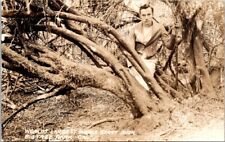 RPPC Big Tree Park CA Man Sitting Worlds Largest Huckleberry Bush postcard NQ11 picture