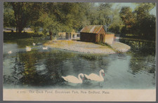 New Bedford MA postcard - Duck Pond - Brooklawn Park 1907 Rotograph UNUSED picture
