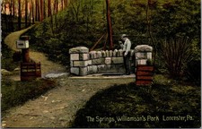 Lancaster Pennsylvania Pa. The Springs at Williamson's Park Postcard c1912 picture
