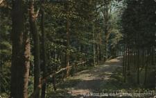 1910 Burlington,VT Old Wood Road and Red Rocks Chittenden County Vermont Vintage picture