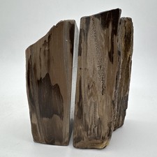 Rare Set Of Mirrored PNW Conifer Petrified Wood Bookends 2 Side Polished Felt picture