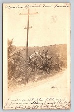 1908  RPPC Spanish Town Jamaica View Utility Pole Tropical Landscape Postmarked picture