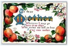 1911 To Dear Mother Message Apples Flowers McGrath Minnesota MN Antique Postcard picture