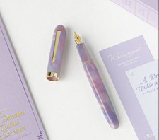 Wearingeul Preface Fountain Pen in A Dream Within a Dream with Gold Trim - Fine picture