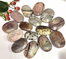 Wholesale 2 Lb Lot Natural Picture Jasper Palm Stone Crystal Energy picture