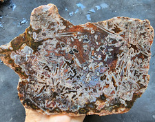 4.57 lbs (2.07 kg) Natural Agate Display, Agate Slab, Agate Decor, Agate Slice picture