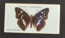 1927 Wills's British Butterflies Series Cigarette Card No. 36 Purple Emperor picture