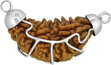 1 Mukhi Rudraksha Natural Certified Original Nepali Big Bead for Men & Women Spi picture