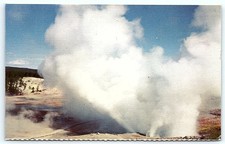 Vintage Postcard: Norris Geyser Basin, Yellowstone NP picture