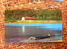 1987  REPUBLICA ARGENTINA ANTARTIC POSTCARD POSTALLY USED TO AUST TERRA DEL FUEG picture