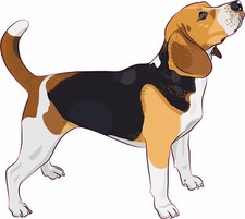 5in x 4.5in Beagle Bumper Sticker Vinyl Right Window Sign Decal Decals Stickers picture