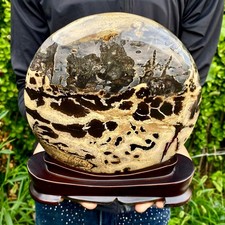 5.51LB Beautiful Natural Chinese Dendritic Limestone Picture Stone Guohua -Rare picture