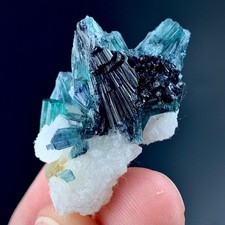 55 CTs Indicolite Tourmaline Bunch With Albite specimen from Afghanistan picture