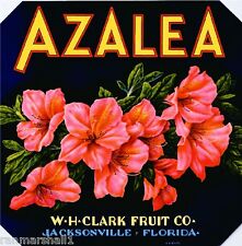 Jacksonville Florida Azalea Flowers Orange Citrus Fruit Crate Label Art Print picture
