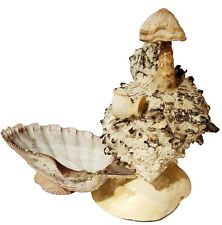 Vintage Tramp Art Seashell Succulent Planter / Soap Dish w/ Mushroom & Birds picture