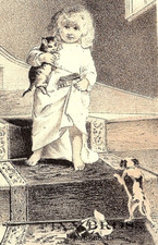 1880s Finn Bros. Groceries & Provisions Jewett City CT Cute Girl Stairs Cat Dog picture
