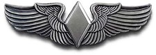 WASP PILOT WINGS WWII WOMENS AIR FORCE SERVICE PILOTS Gray Badge Pin picture