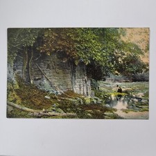 On The Banks Of The Kankaee River Illinois IL 1908 Postcard Woman Vintage Dress picture